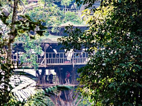 Cabane Dans Les Arbres - Gibbon Experience A Découvrir au Laos - La réserve naturelle de Bokeo
