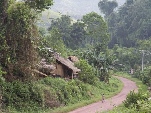 A Découvrir au Laos - Luang Namtha