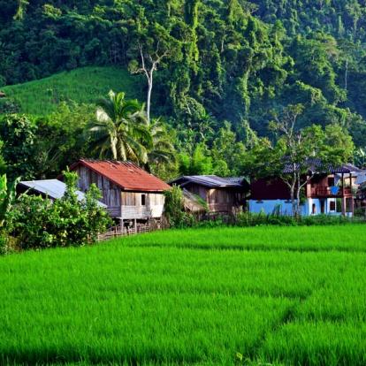 A Découvrir au Laos - Luang Namtha