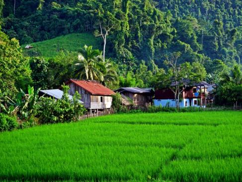 A Découvrir au Laos - Luang Namtha