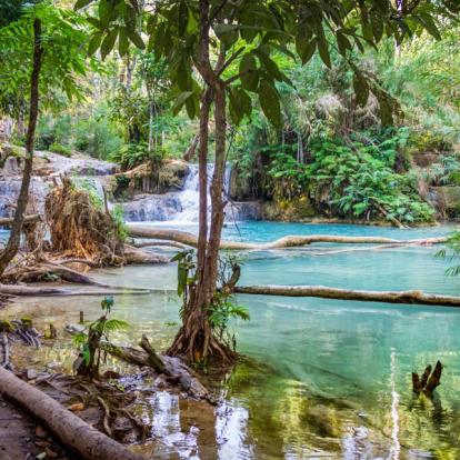 A Découvrir au Laos - Les Cascades de Kuang Si