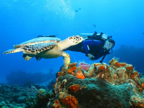 A Découvrir au Mexique - Le Yucatan