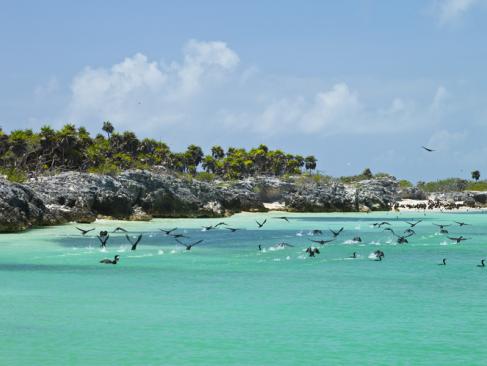 A Découvrir au Mexique - Le Yucatan