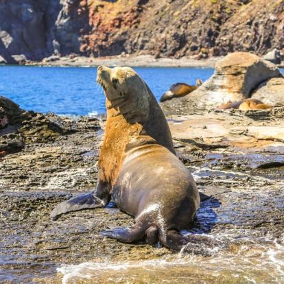 A Découvrir au Mexique - La Péninsule de Basse-Californie