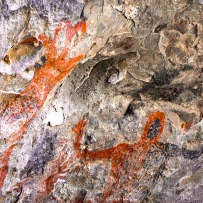 A Découvrir au Mexique - La Péninsule de Basse-Californie