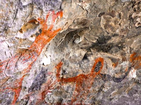 A Découvrir au Mexique - La Péninsule de Basse-Californie