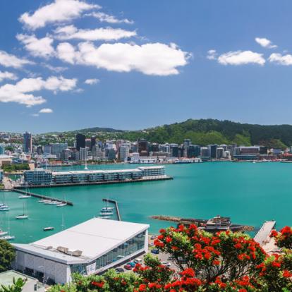A Découvrir en Nouvelle-Zélande - Wellington