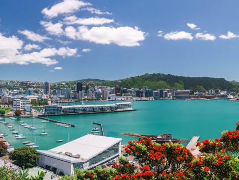 A Découvrir en Nouvelle-Zélande - Wellington