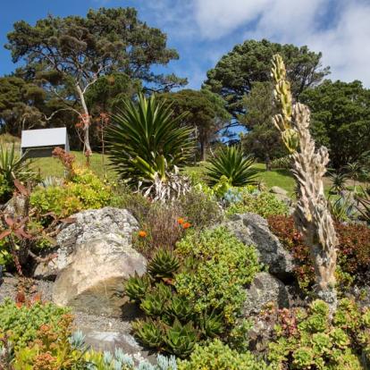 A Découvrir en Nouvelle-Zélande - Wellington