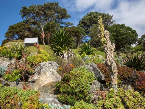 A Découvrir en Nouvelle-Zélande - Wellington