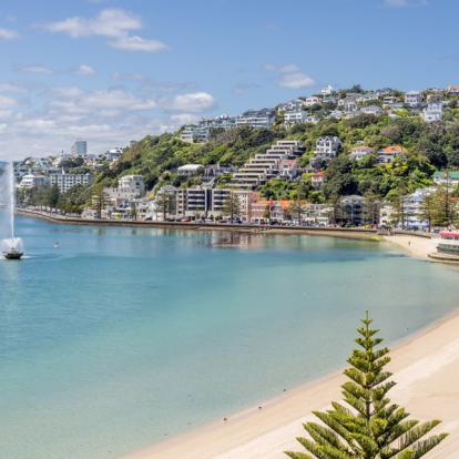 A Découvrir en Nouvelle-Zélande - Wellington