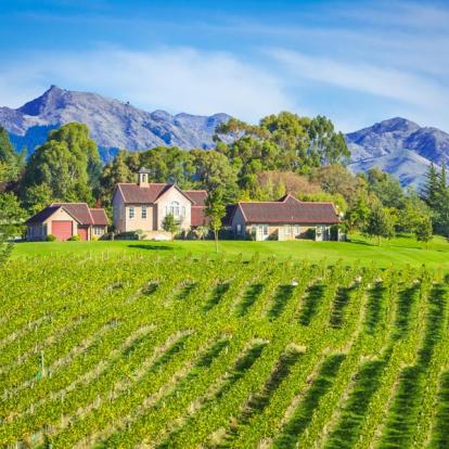 Marlborough A Découvrir en Nouvelle-Zélande - Vignobles du Marlborough