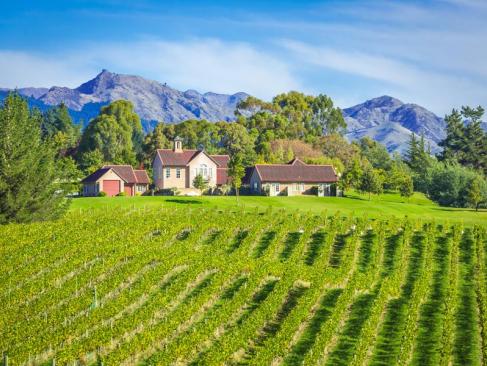 Marlborough A Découvrir en Nouvelle-Zélande - Vignobles du Marlborough