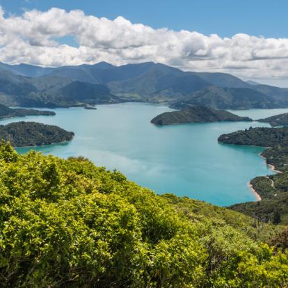 Marlborough Sounds A Découvrir en Nouvelle-Zélande - Vignobles du Marlborough