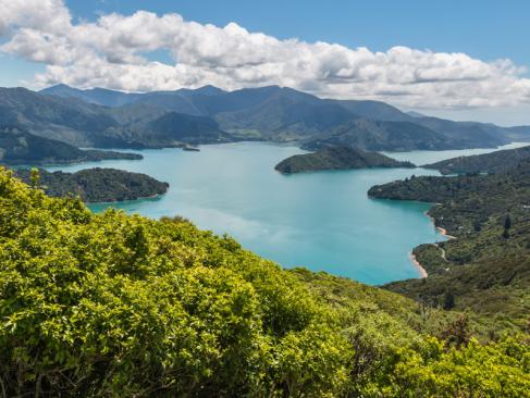 Marlborough Sounds A Découvrir en Nouvelle-Zélande - Vignobles du Marlborough