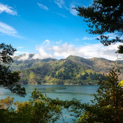 Marlborough Sounds - Depuis Queen Charlotte Track A Découvrir en Nouvelle-Zélande - Vignobles du Marlborough