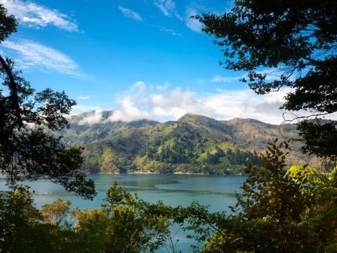 Marlborough Sounds - Depuis Queen Charlotte Track A Découvrir en Nouvelle-Zélande - Vignobles du Marlborough