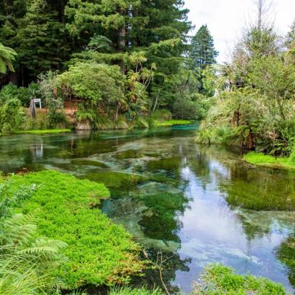 A Découvrir en Nouvelle-Zélande - Rotorua