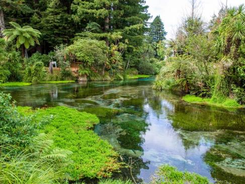 A Découvrir en Nouvelle-Zélande - Rotorua