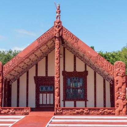 A Découvrir en Nouvelle-Zélande - Rotorua