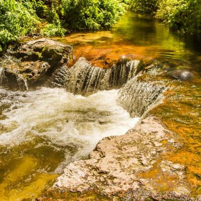A Découvrir en Nouvelle-Zélande - Rotorua