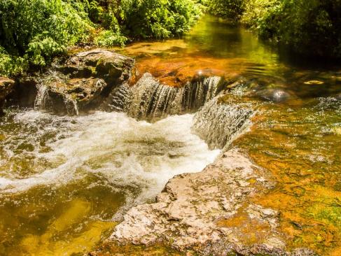 A Découvrir en Nouvelle-Zélande - Rotorua
