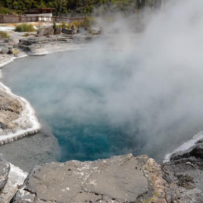 A Découvrir en Nouvelle-Zélande - Rotorua
