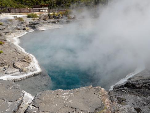 A Découvrir en Nouvelle-Zélande - Rotorua