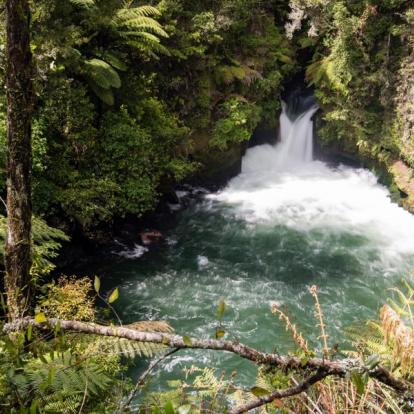 A Découvrir en Nouvelle-Zélande - Rotorua