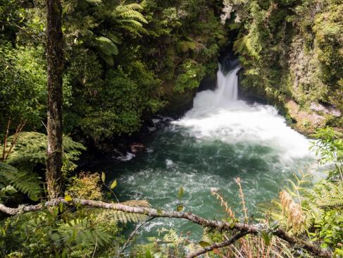 A Découvrir en Nouvelle-Zélande - Rotorua