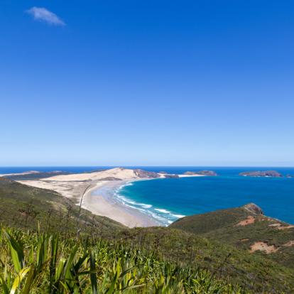 A Découvrir en Nouvelle-Zélande - Cap Reinga
