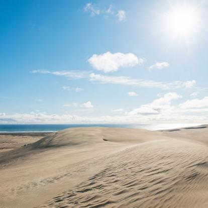 A Découvrir en Nouvelle-Zélande - Cap Reinga