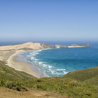 A Découvrir en Nouvelle-Zélande - Cap Reinga