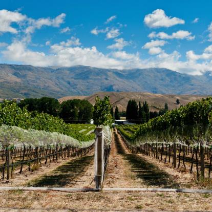 A Découvrir en Nouvelle-Zélande - Queenstown