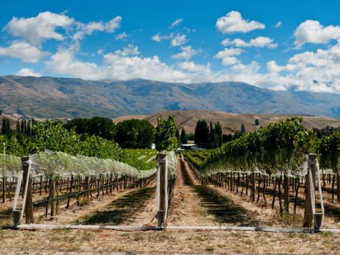 A Découvrir en Nouvelle-Zélande - Queenstown