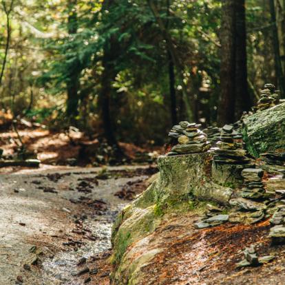 A Découvrir en Nouvelle-Zélande - L'Otago Central Rail Trail