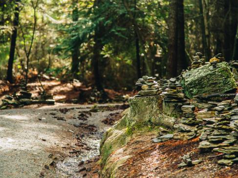 A Découvrir en Nouvelle-Zélande - L'Otago Central Rail Trail