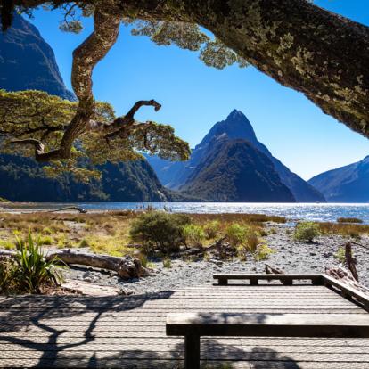 A Découvrir en Nouvelle-Zélande - Le fjord du Milford Sound