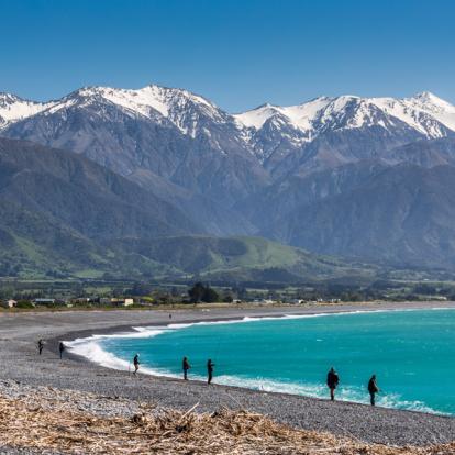 A Découvrir en Nouvelle-Zélande - Kaikoura