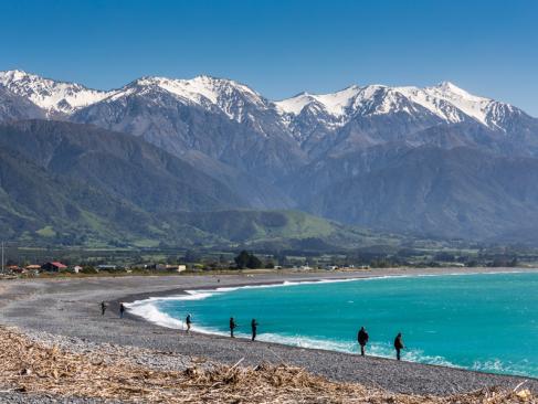 A Découvrir en Nouvelle-Zélande - Kaikoura