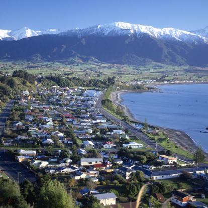 A Découvrir en Nouvelle-Zélande - Kaikoura