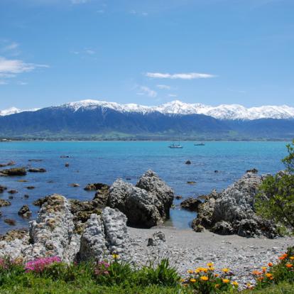 A Découvrir en Nouvelle-Zélande - Kaikoura
