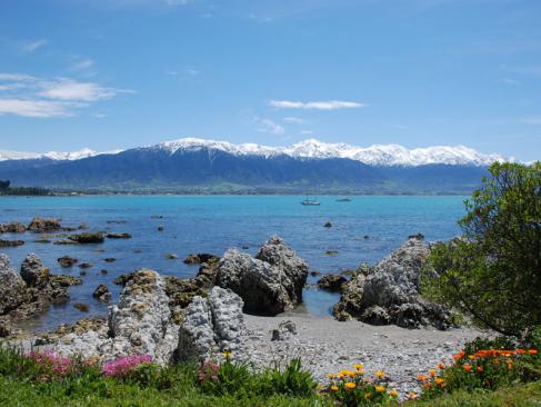 A Découvrir en Nouvelle-Zélande - Kaikoura