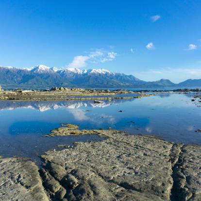 A Découvrir en Nouvelle-Zélande - Kaikoura