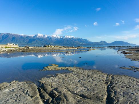 A Découvrir en Nouvelle-Zélande - Kaikoura