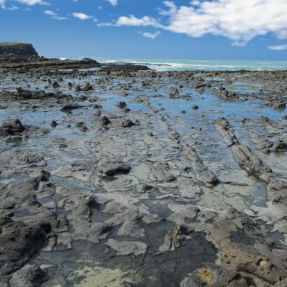 A découvrir en Nouvelle-Zélande - La Catlins Coast
