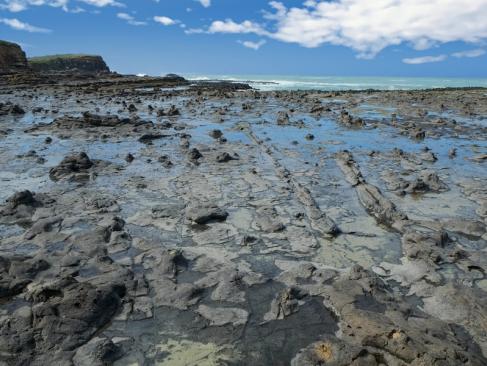 A découvrir en Nouvelle-Zélande - La Catlins Coast