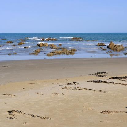 A découvrir en Nouvelle-Zélande - La Catlins Coast