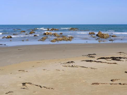 A découvrir en Nouvelle-Zélande - La Catlins Coast