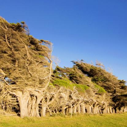 A découvrir en Nouvelle-Zélande - La Catlins Coast